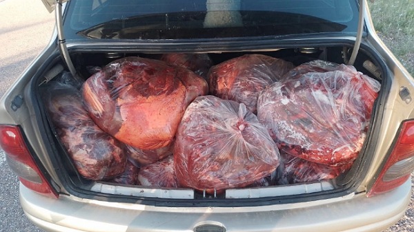 Llevaba 300 kilos de carne de caballo en el Corsa