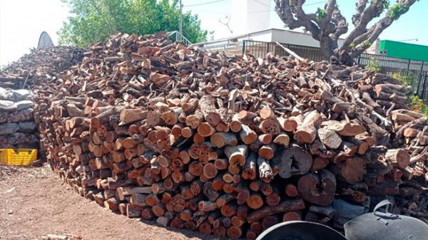 Silvana Prado – Leñera El Colorado y una nueva temporada de frío