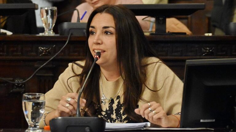 Cintia Gómez – Diputada Provincial del Bloque Pro