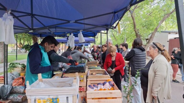 Merluza a $11.500 en la Feria Franca
