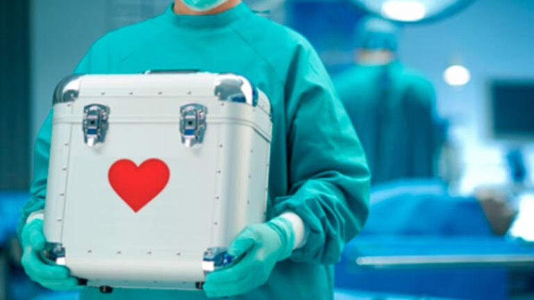 Donación de órganos: proponen crear la campaña «Árbol de Vida»