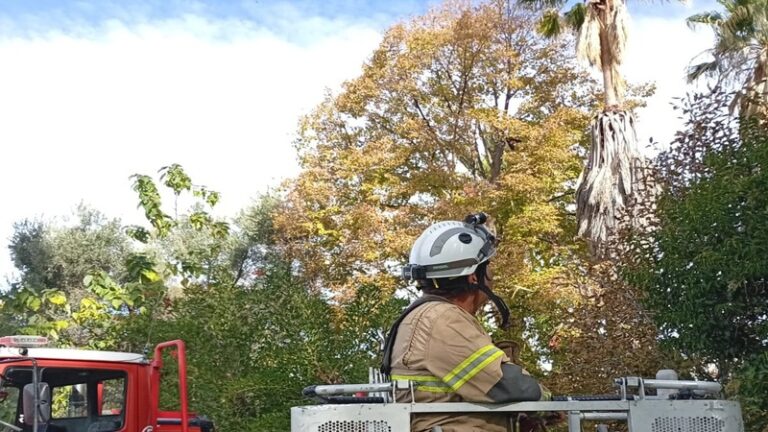 Bomberos Voluntarios Mendocinos llevarán a cabo un abrazo solidario