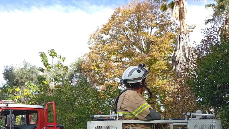 Bomberos Voluntarios Mendocinos llevarán a cabo un abrazo solidario