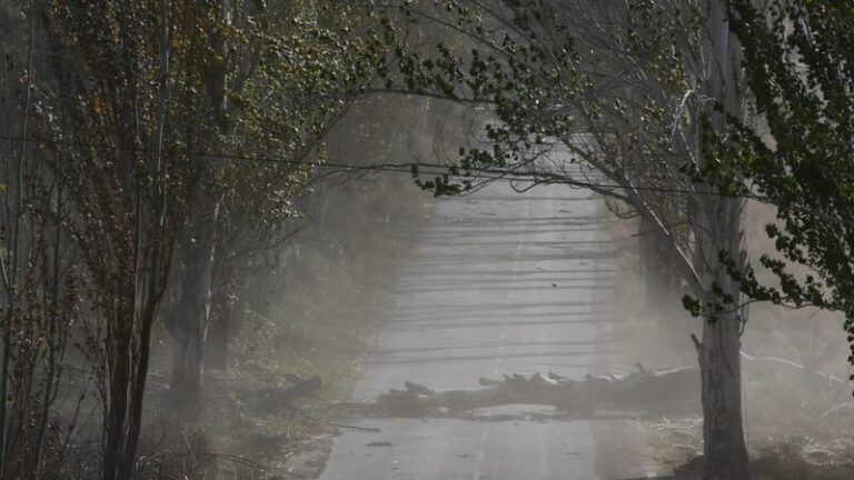 Se suspenden las clases en toda la provincia
